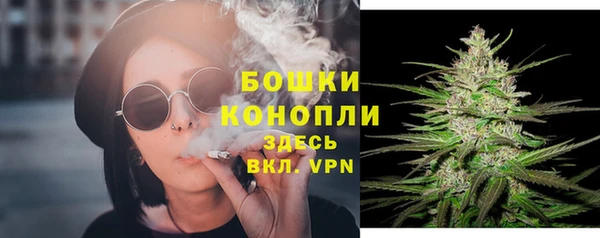экстази Бородино
