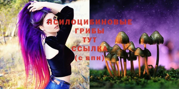 винт Бронницы