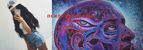 экстази Бородино