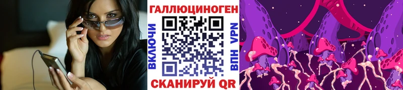 darknet какой сайт  цены   Шиханы  Псилоцибиновые грибы мицелий 